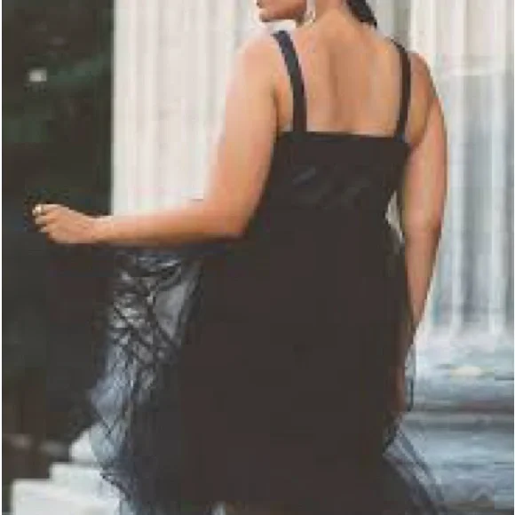 Anthropologie Black Dress- Leather too tulle bottom - Picture 2 of 8